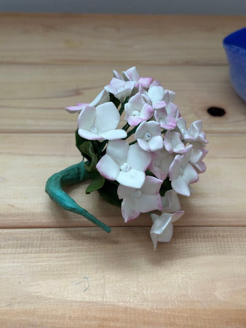 this hydrangea