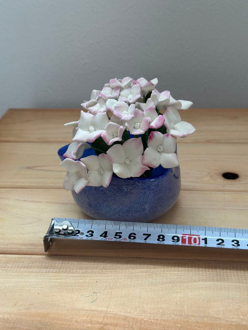 this hydrangea