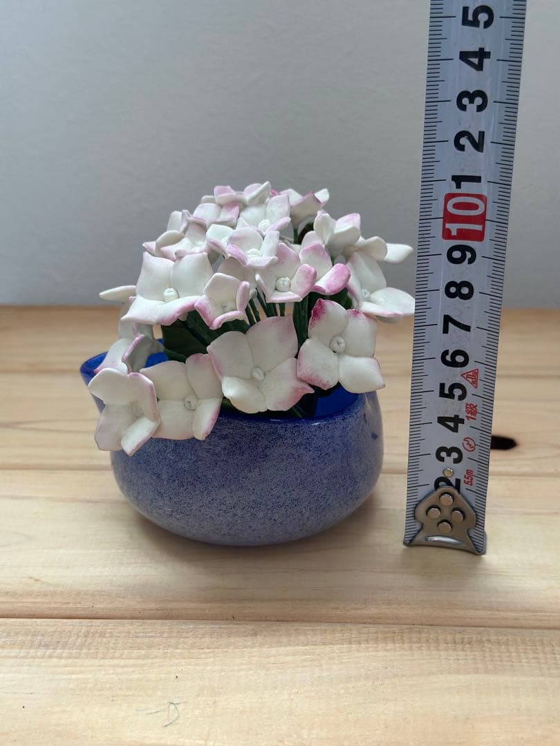this hydrangea
