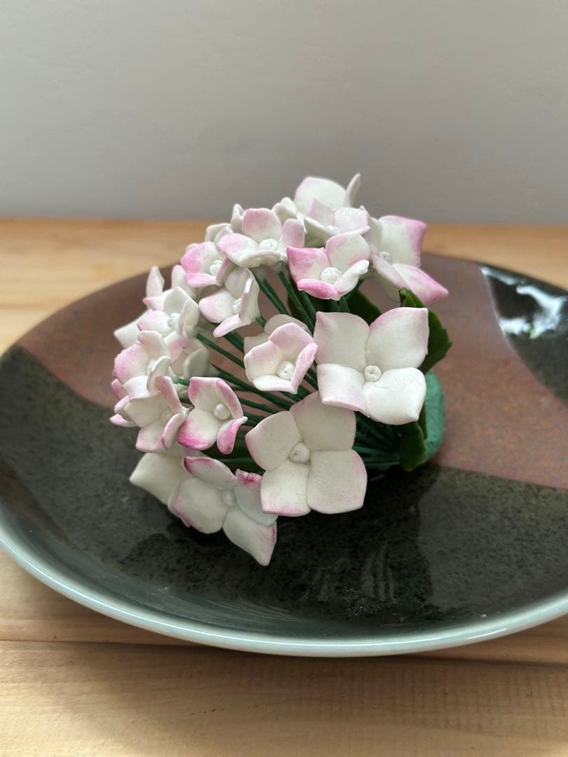 this hydrangea