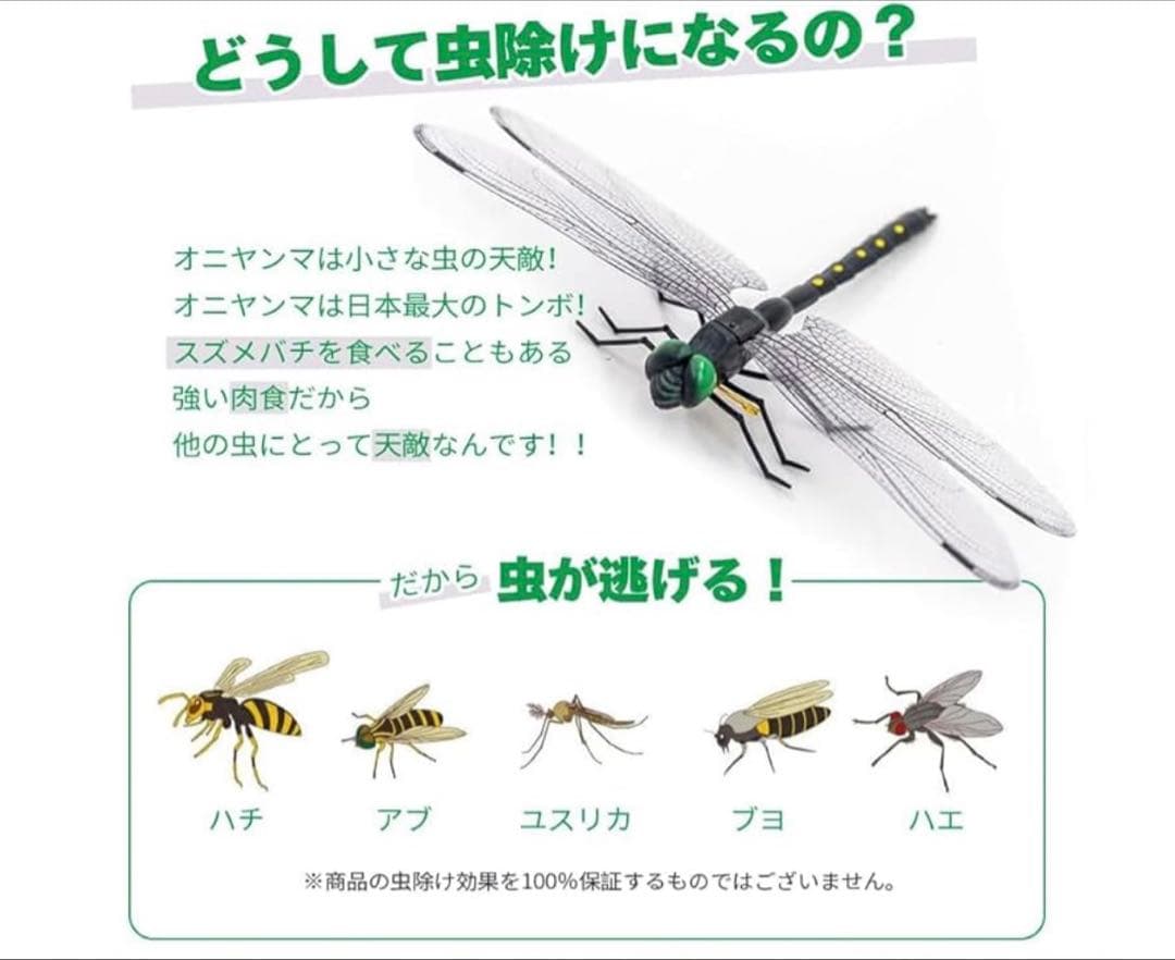 no product