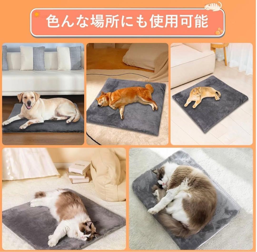 pet heater